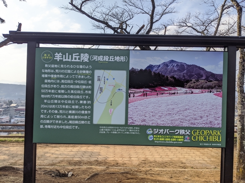 秩父・『あの花』聖地：羊山公園