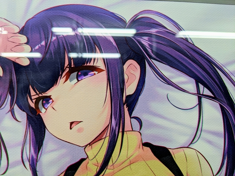 『嫌な顔されながらおパンツ見せてもらいたい(嫌パン)』展画像