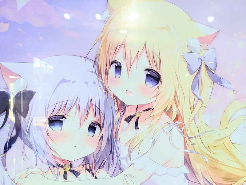 しらたま個展「たまこてん」画像