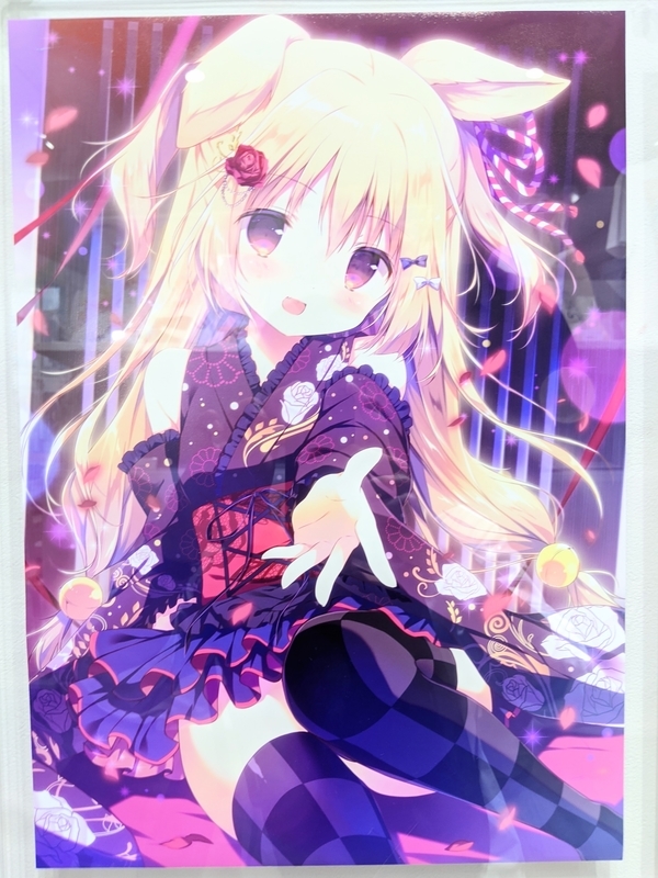 しらたま個展「たまこてん」画像