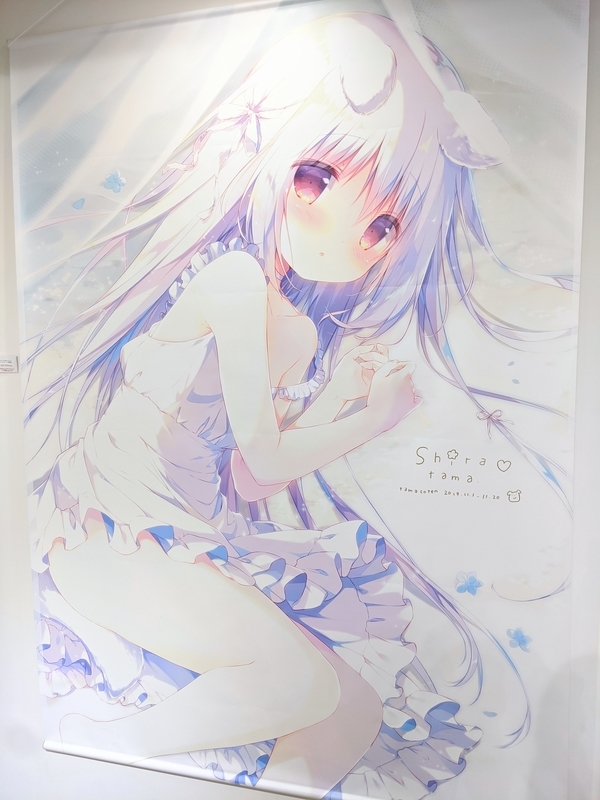 しらたま個展「たまこてん」画像
