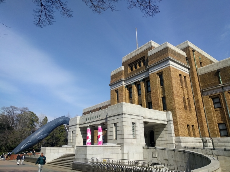 国立科学博物館の写真