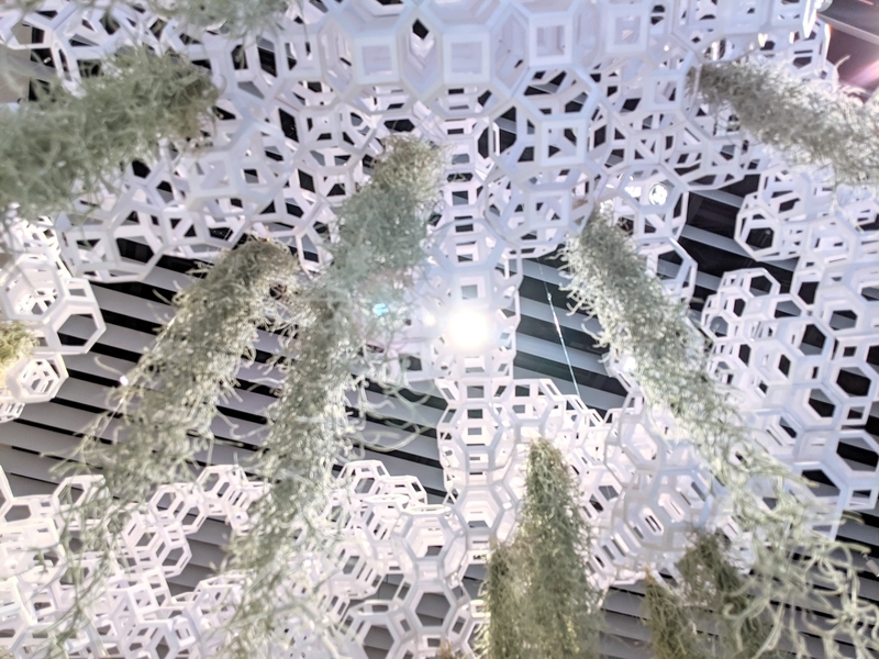 森美術館「未来と芸術展」画像/写真