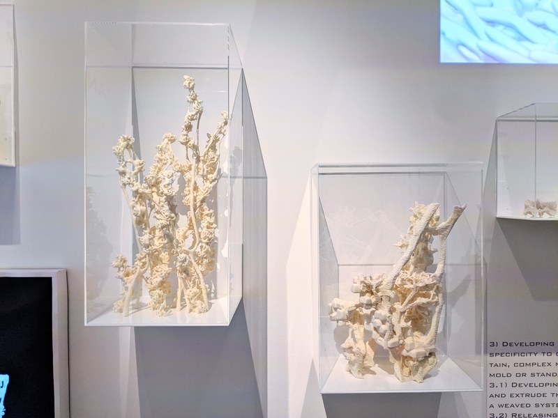 森美術館「未来と芸術展」画像/写真