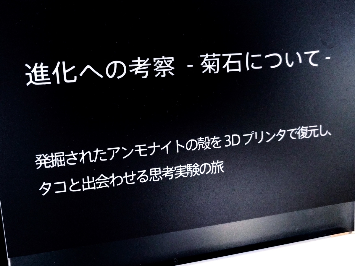 蛸に復元したアンモナイトの殻を与えた作品。「進化への考察」by AKI INOMATA