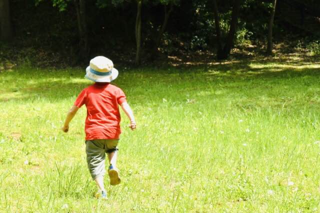 プレ幼稚園が直前で白紙に。幼稚園選びを始める前に知りたかった13のこと
