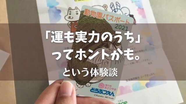 運も実力のうちってこういうことか!と思った話