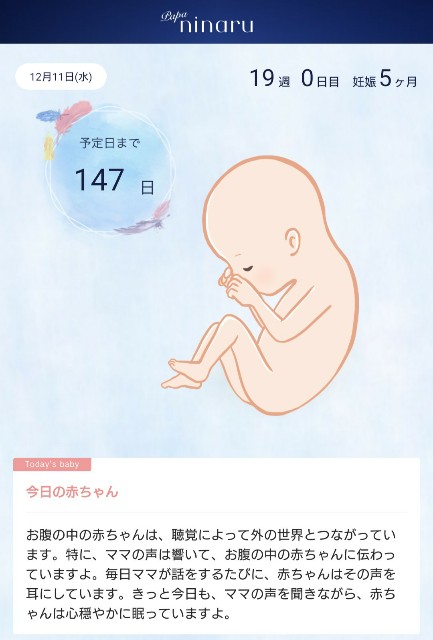 妊娠5ヶ月 19週0日目 もうすぐ安産祈願 アラフォーでパパになる 妊娠5ヶ月 19週0日目 もうすぐ安産祈願 アラフォーでパパになる