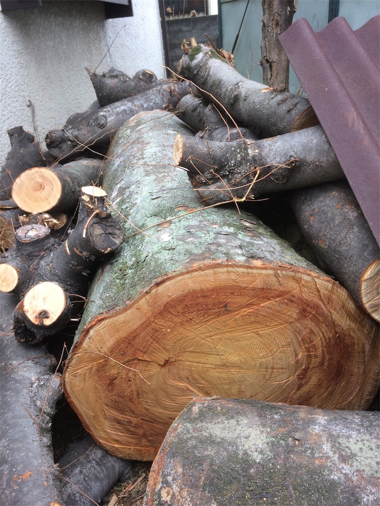 f:id:ara_okanoue:20180307183549j:image f:id:ara_okanoue:20180307183549j:image