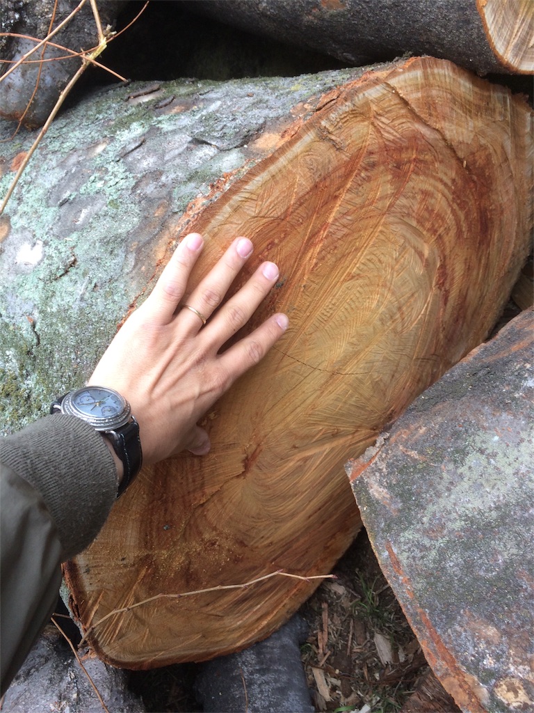 f:id:ara_okanoue:20180307183822j:image f:id:ara_okanoue:20180307183822j:image