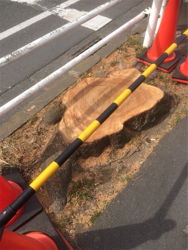 f:id:ara_okanoue:20180308111748j:image f:id:ara_okanoue:20180308111748j:image