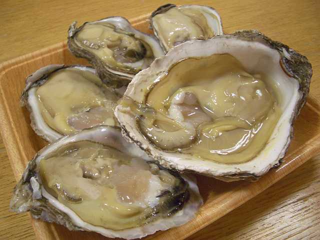 究極に美味しいアジフライ 外房 伊勢エビと岩牡蛎は脇役 空腹時に見てはいけないブログ
