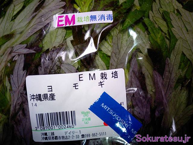 沖縄料理 フーチバー クファ ジューシー ヨモギ入り豚肉炊き込みご飯 とゴーヤーチャンプルー 空腹時に見てはいけないブログ 沖縄料理 フーチバー クファ ジューシー ヨモギ入り豚肉炊き込みご飯 とゴーヤーチャンプルー 空腹時に見てはいけないブログ