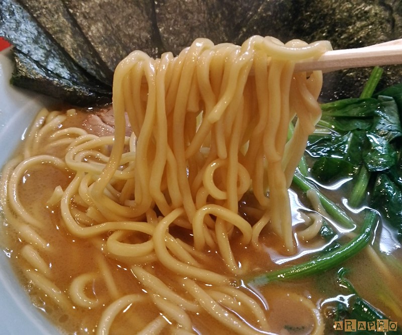 f:id:ara_pro:20190603181658j:plain