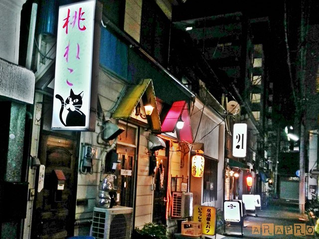 f:id:ara_pro:20190614013642j:plain