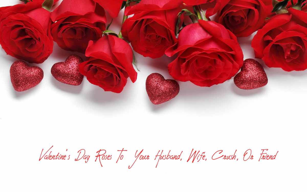 f:id:arabianpetals:20200204230635j:plain