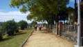 [SydneyBiennale2008]walkway