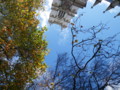 [UK2009][London]Westminster Abbey