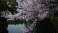 [2011Spring]新宿御苑