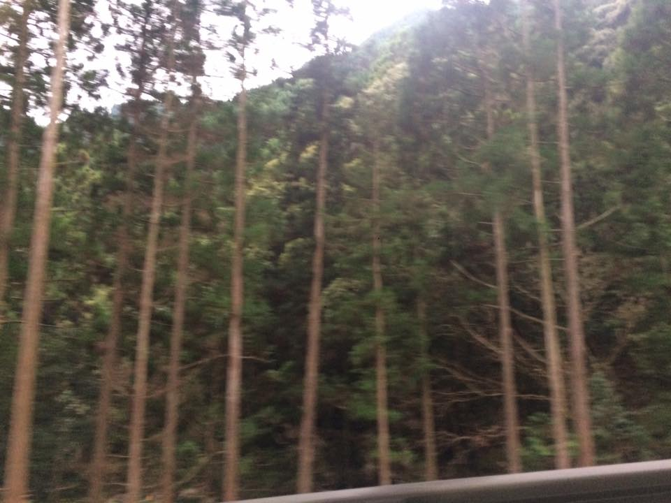 f:id:araebisu808:20170125205855p:plain