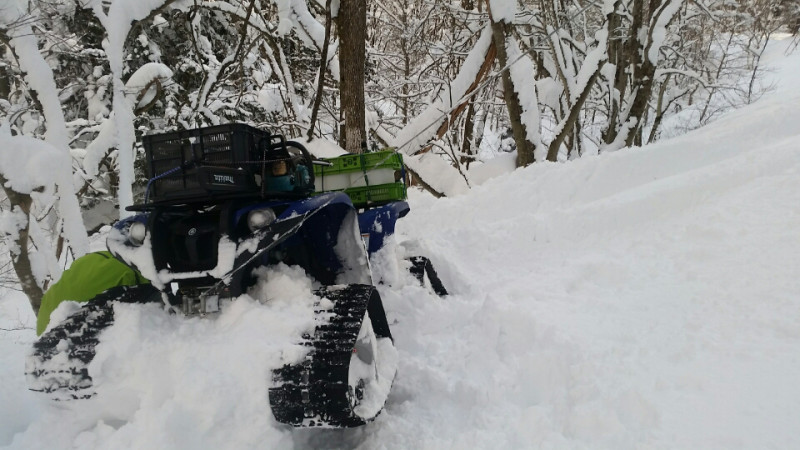 f:id:araebisu808:20170129060005p:plain f:id:araebisu808:20170129060005p:plain