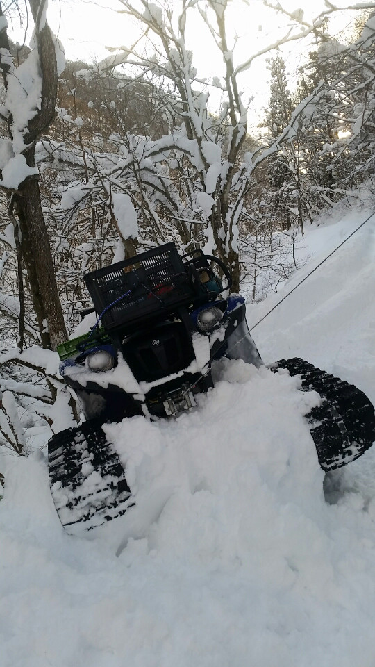 f:id:araebisu808:20170129060035p:plain f:id:araebisu808:20170129060035p:plain