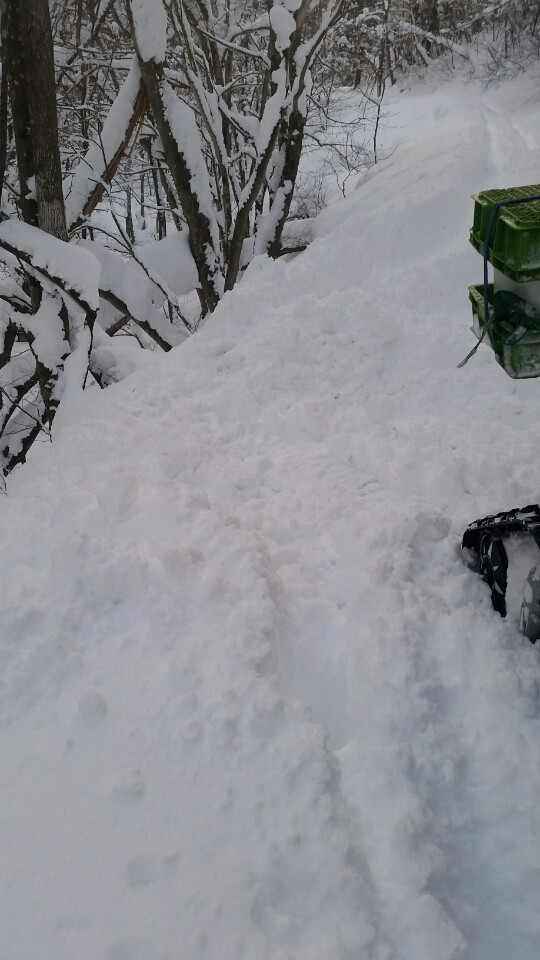 f:id:araebisu808:20170129060059p:plain f:id:araebisu808:20170129060059p:plain