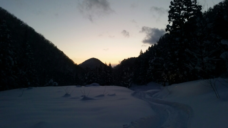 f:id:araebisu808:20170129060119p:plain f:id:araebisu808:20170129060119p:plain