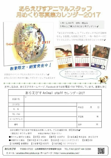 f:id:araebisu808:20170203193311j:image f:id:araebisu808:20170203193311j:image