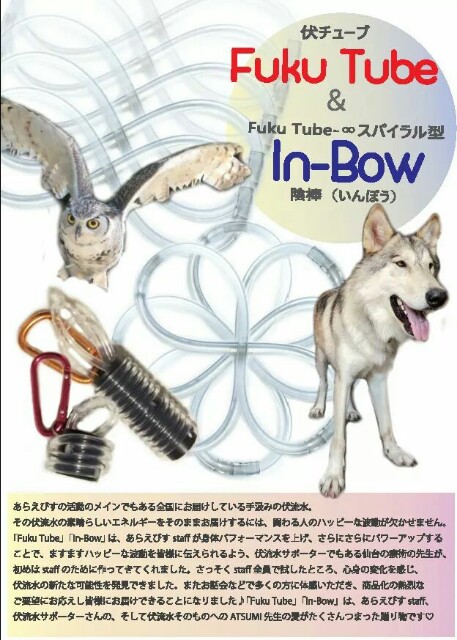 f:id:araebisu808:20170203193329j:image f:id:araebisu808:20170203193329j:image
