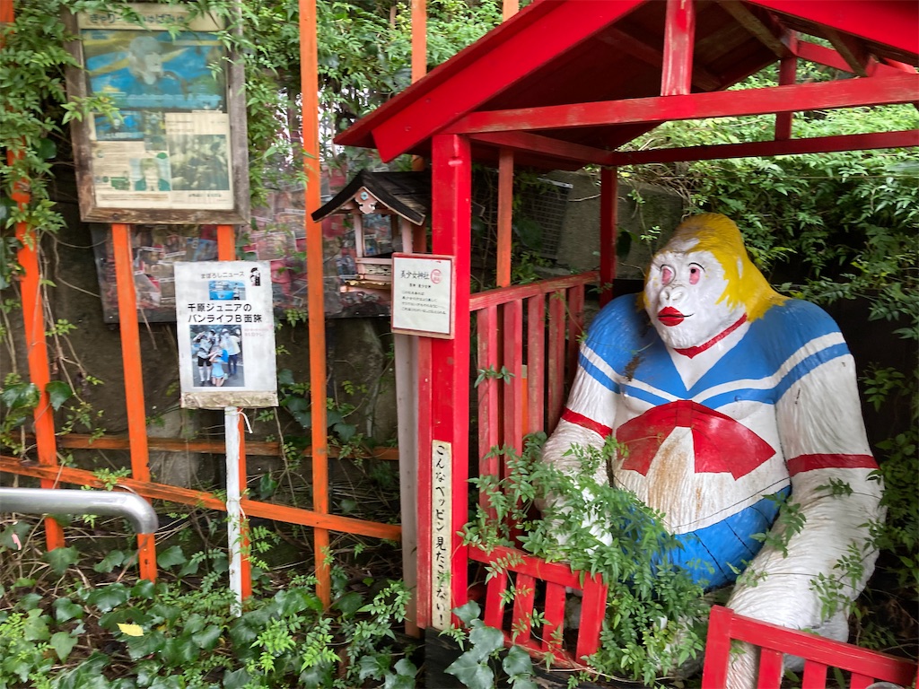 f:id:araguma:20221017131847j:image