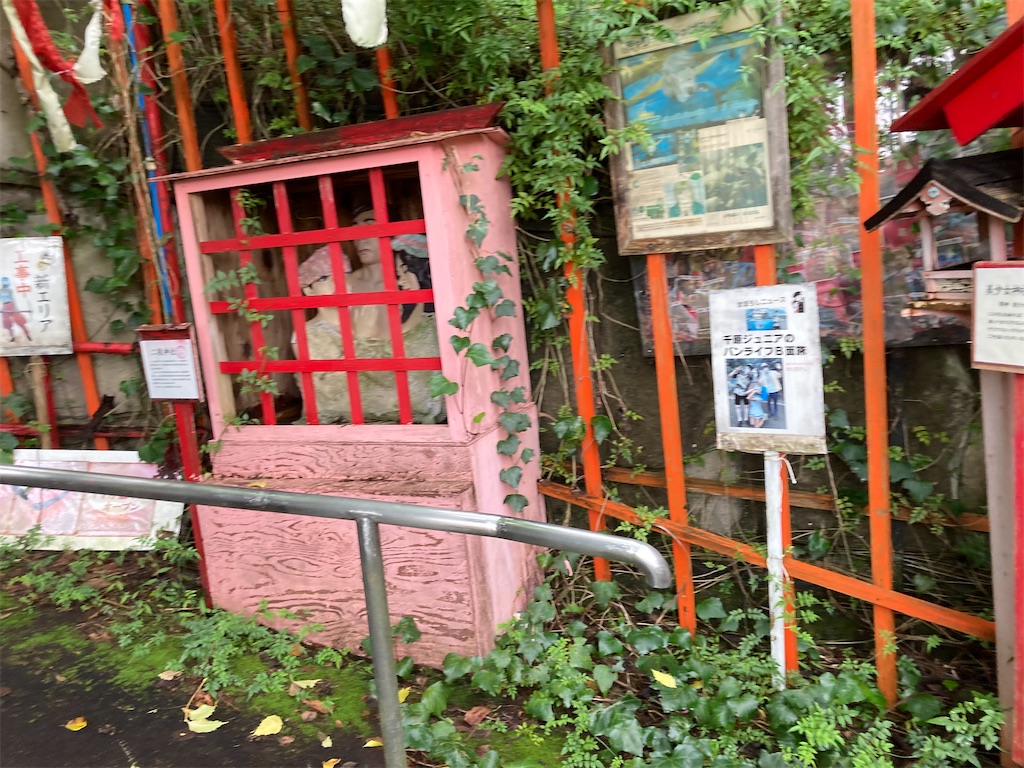 f:id:araguma:20221017131937j:image