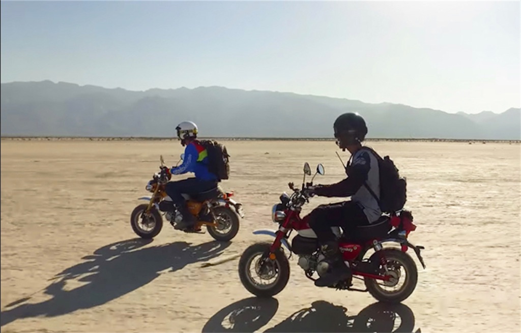 f:id:araguma:20221025121533j:image f:id:araguma:20221025121533j:image