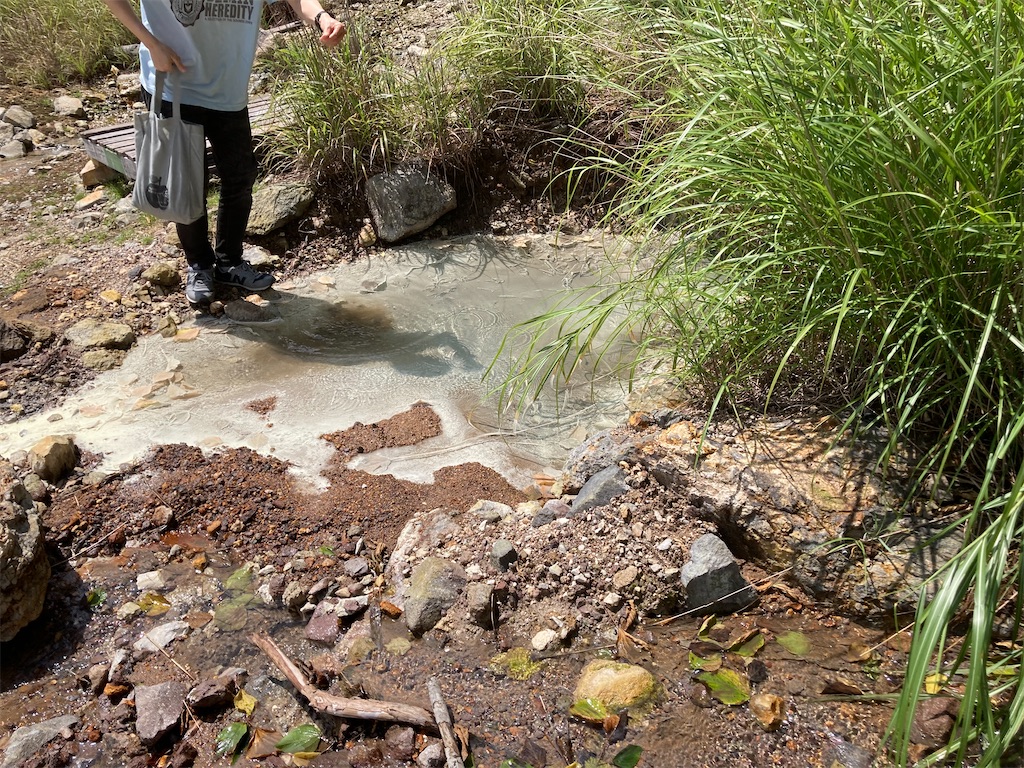 f:id:araguma:20230817200548j:image f:id:araguma:20230817200548j:image