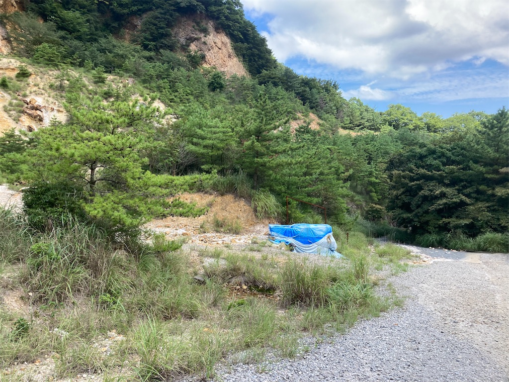 f:id:araguma:20230817200551j:image f:id:araguma:20230817200551j:image