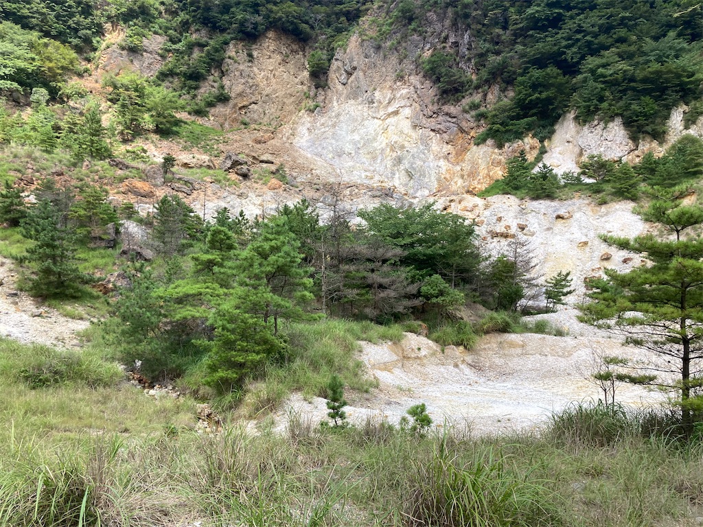 f:id:araguma:20230817200554j:image f:id:araguma:20230817200554j:image