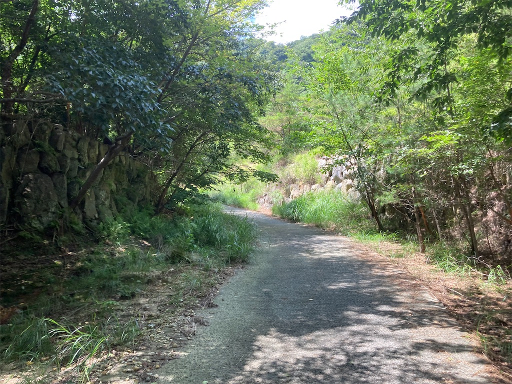 f:id:araguma:20230817200558j:image f:id:araguma:20230817200558j:image