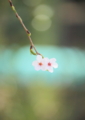 20100404092827