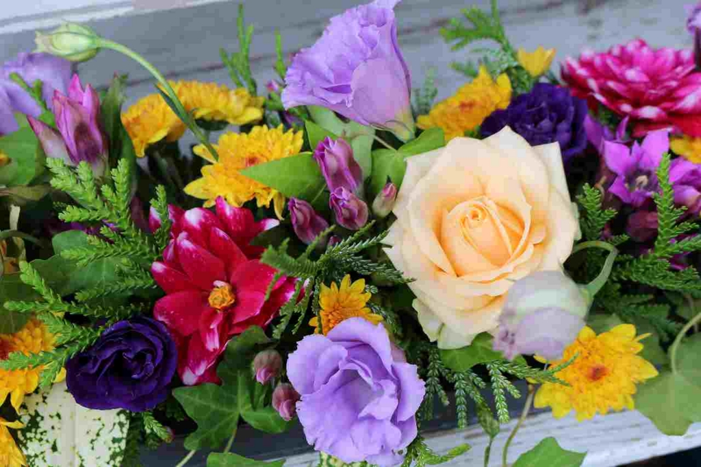 f:id:arai8783:20161031115707j:plain