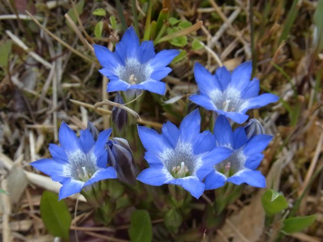 f:id:arai8783:20170316180707j:plain f:id:arai8783:20170316180707j:plain