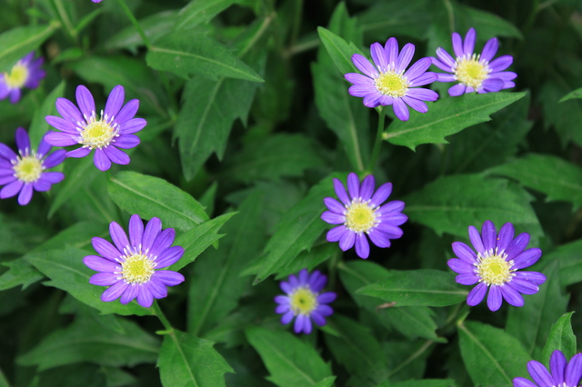 f:id:arai8783:20170409075718j:plain f:id:arai8783:20170409075718j:plain