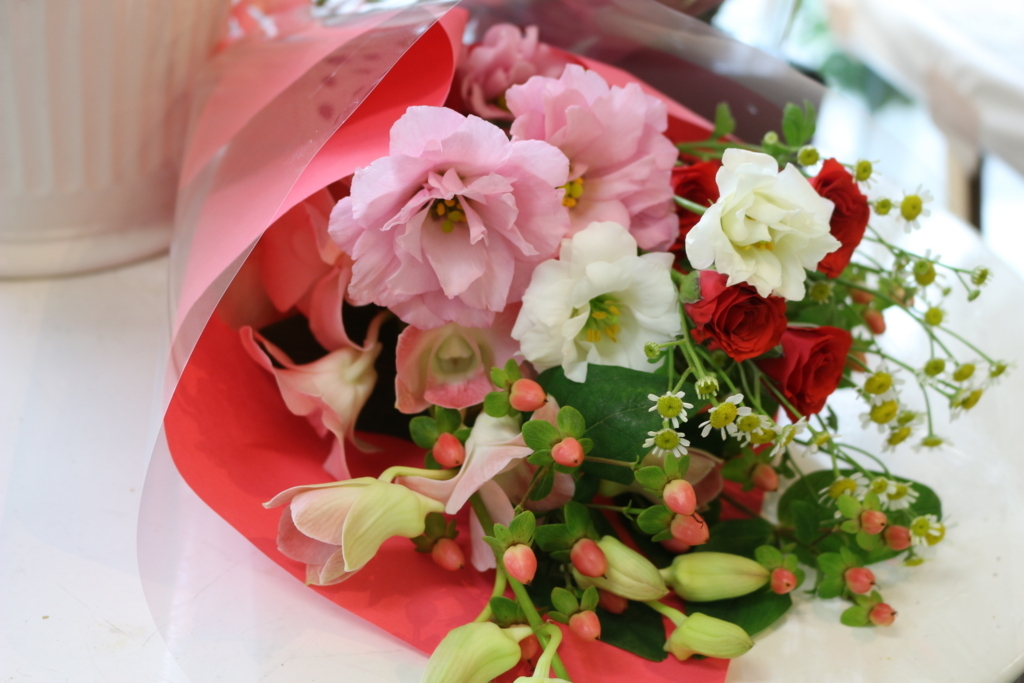 f:id:arai8783:20171021085641j:plain
