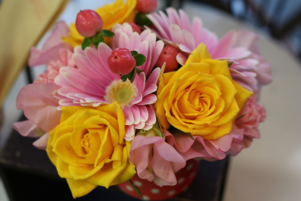 f:id:arai8783:20180105160909j:plain f:id:arai8783:20180105160909j:plain