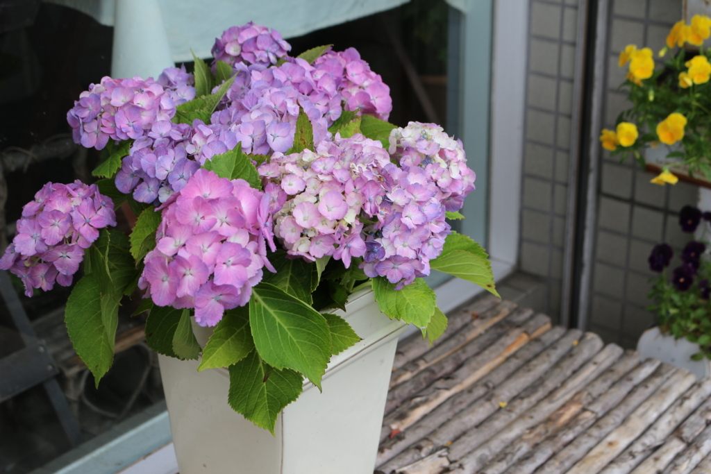 f:id:arai8783:20180612082817j:plain
