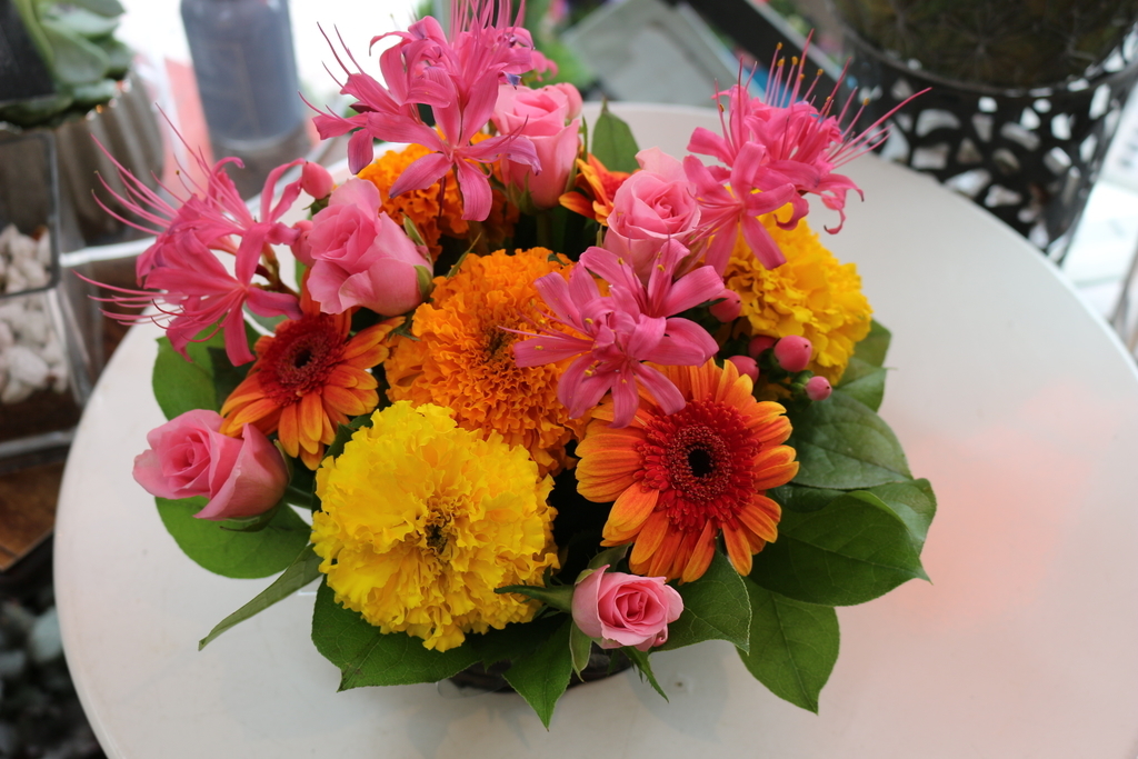 f:id:arai8783:20180903164632j:plain