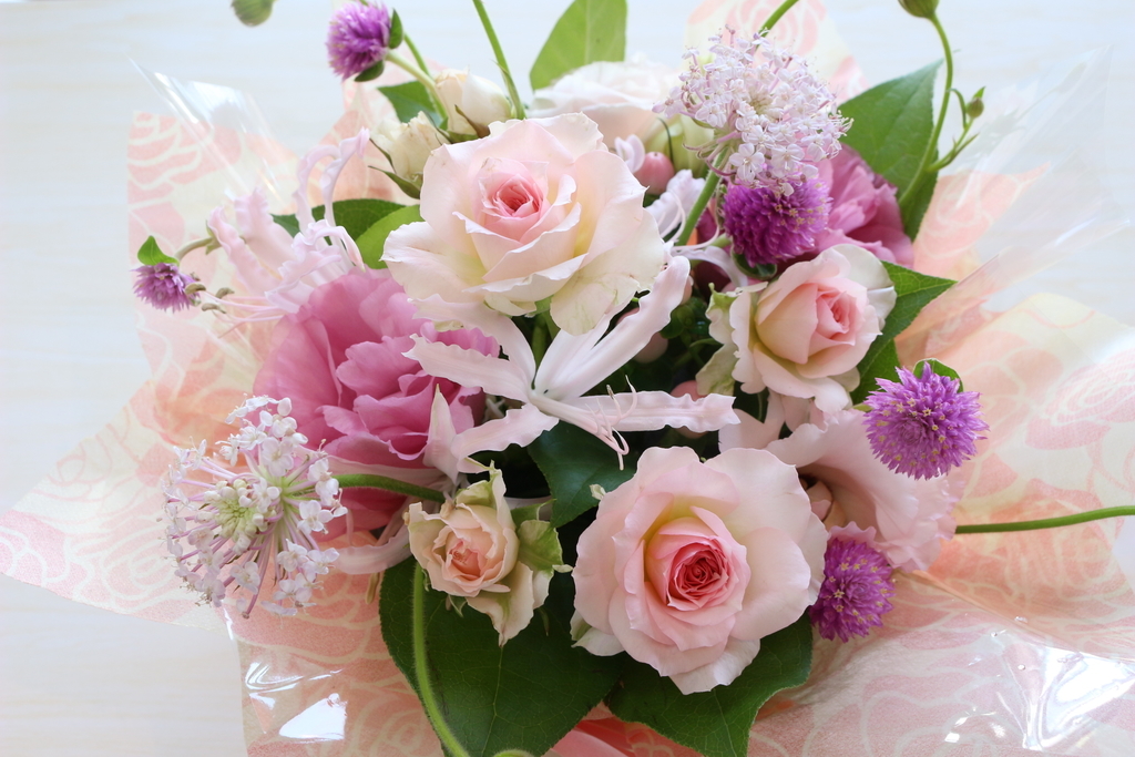 f:id:arai8783:20181014133256j:plain