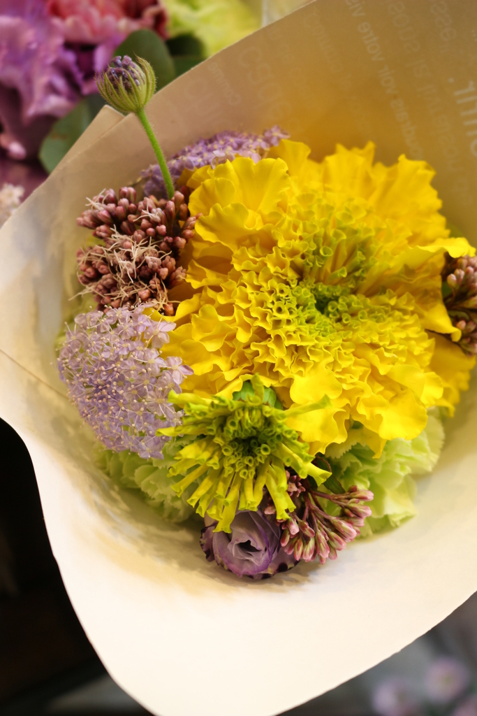 f:id:arai8783:20181023175631j:plain
