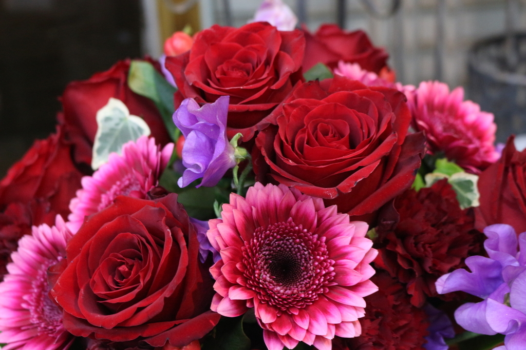 f:id:arai8783:20190124135447j:plain f:id:arai8783:20190124135447j:plain