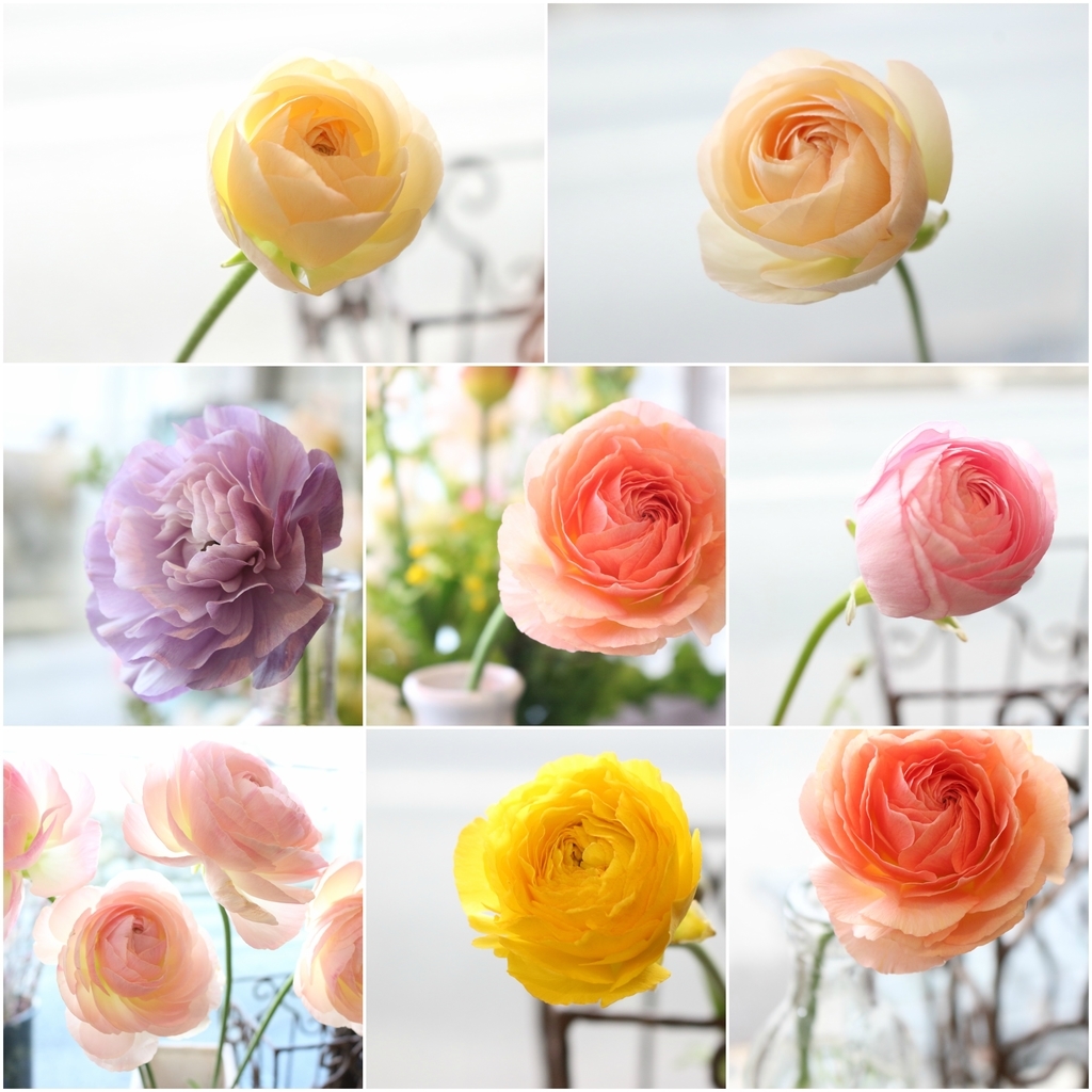f:id:arai8783:20190217175147j:plain f:id:arai8783:20190217175147j:plain