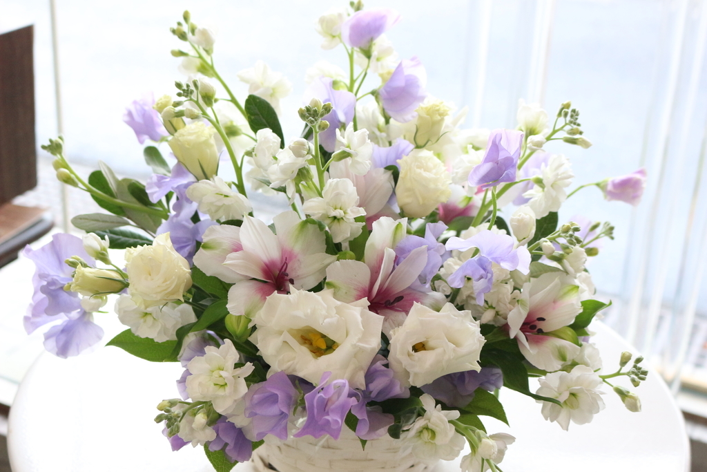 f:id:arai8783:20190221082938j:plain f:id:arai8783:20190221082938j:plain